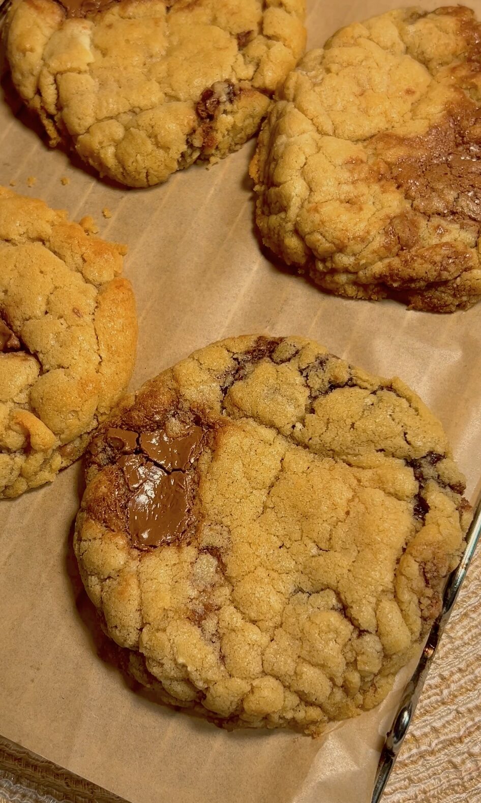 Easiest Chewy Chocolate Chip Cookies Recipe